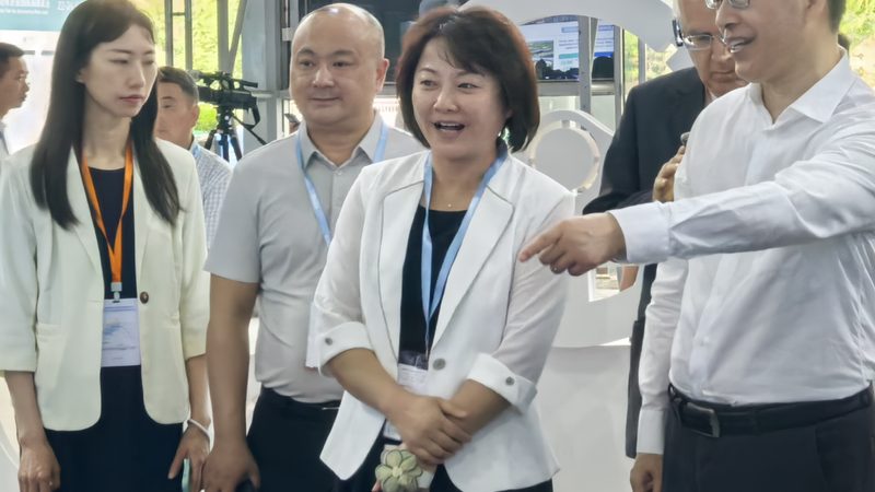 電動車配件更換價格揭秘：影響因素與合理預算